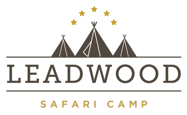 Leadwood Safari Co.