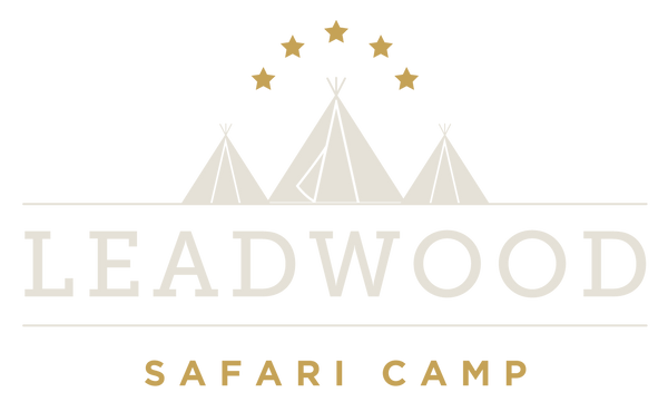 Leadwood Safari Co.