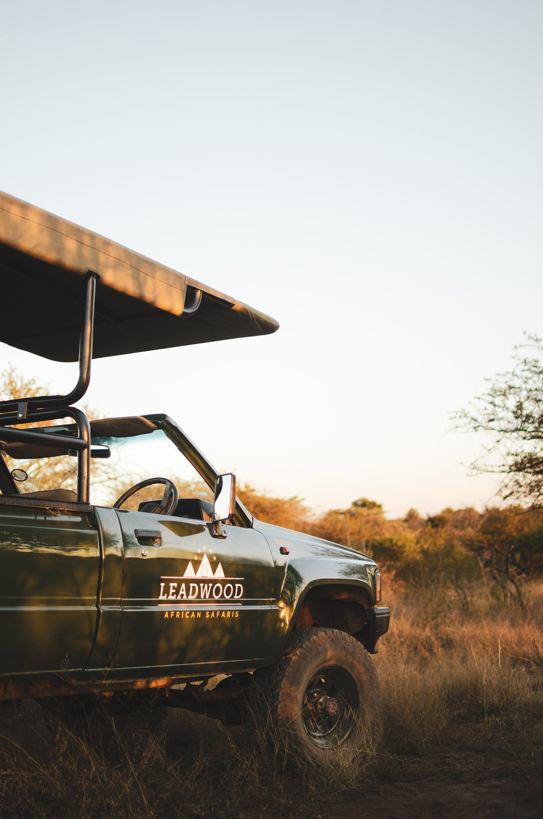 Activities Leadwood Safari Co.